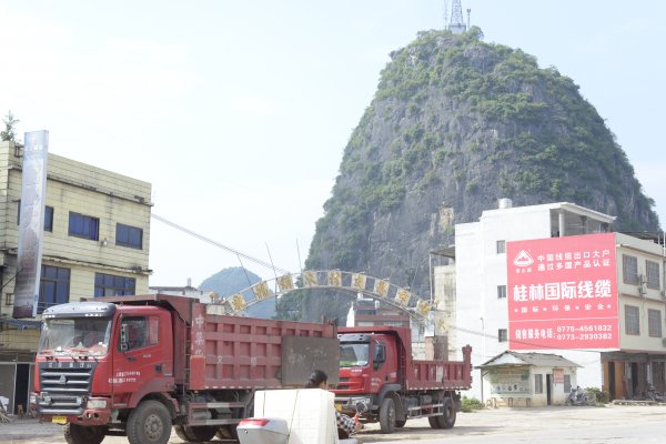 廣西較大桉木生產(chǎn)基地-東龍板材交易中心